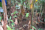 img wa0006