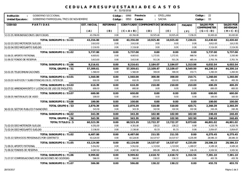 Literal g) Cedula Presupuestaria Gastos  1 Trimestre